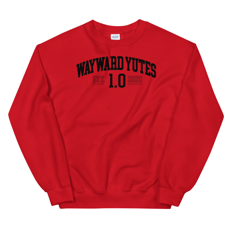 Hood Theory Memes (WAYWARD YUTES-BL) Unisex Crew Neck Sweatshirt