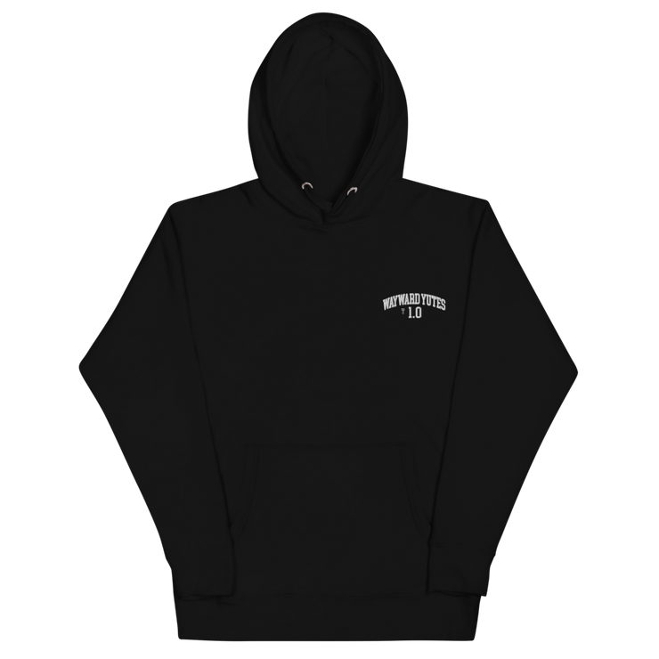 Hood Theory Memes (WAYWARD YUTES-WEL) Unisex Premium Hoodie