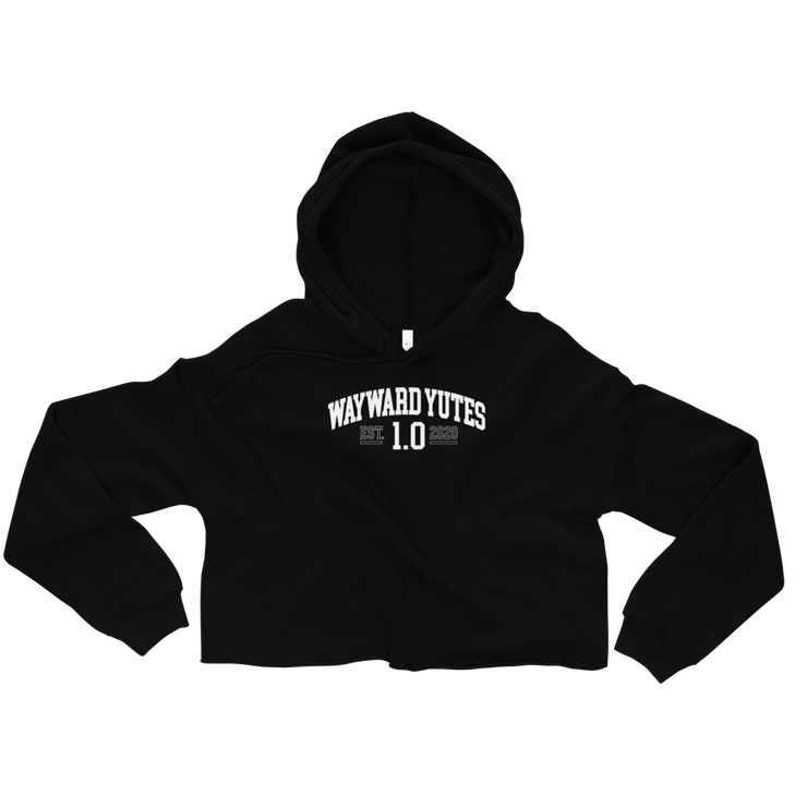 Hood Theory Memes (WAYWARD YUTES-WL) Women's Crop Hoodie