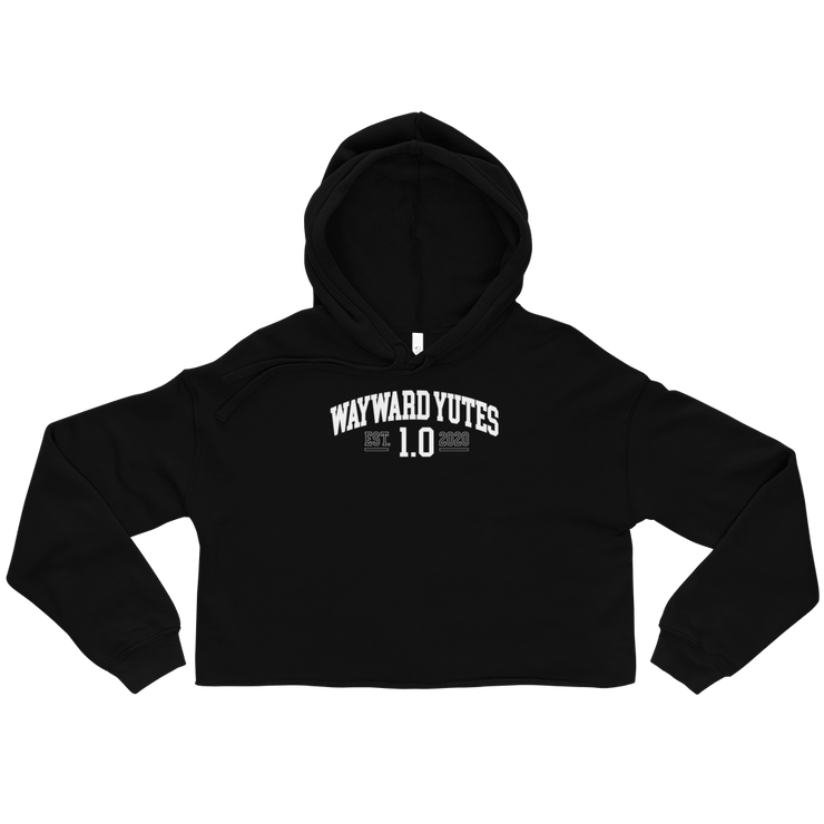 Hood Theory Memes (WAYWARD YUTES-WL) Women's Crop Hoodie