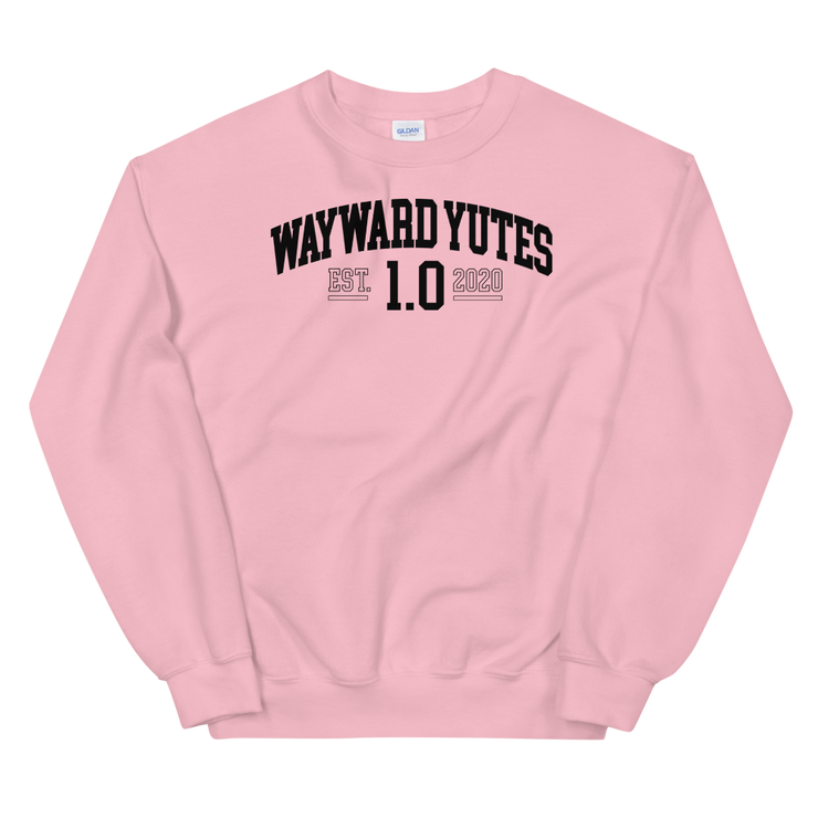 Hood Theory Memes (WAYWARD YUTES-BL) Unisex Crew Neck Sweatshirt