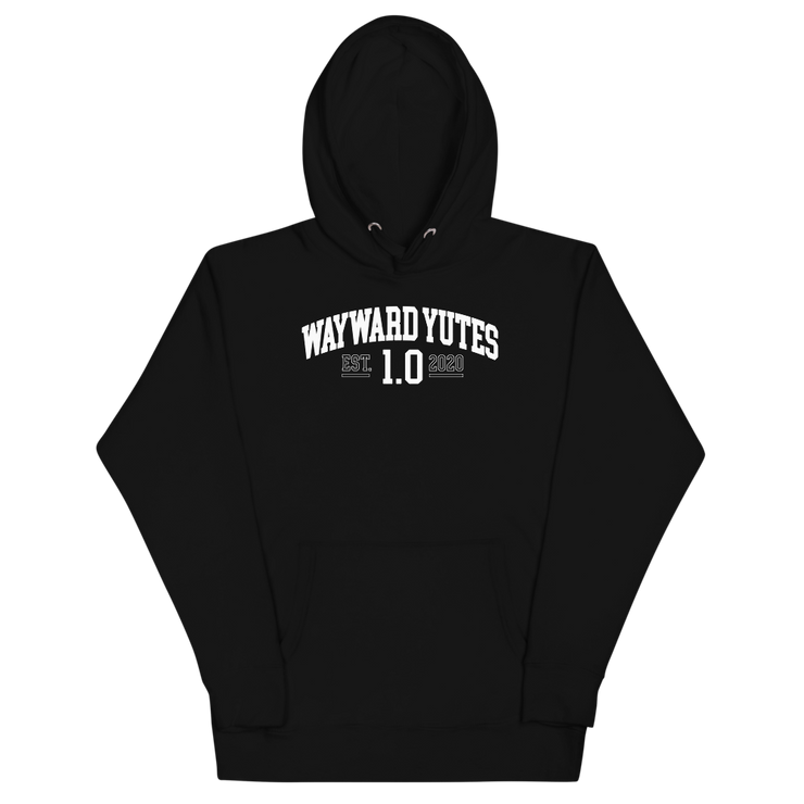 Hood Theory Memes (WAYWARD YUTES-WL) Unisex Premium Hoodie