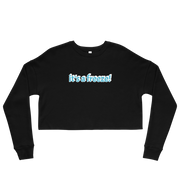 Hood Theory x James Caimen (it's a freeze!) Women's Crop Sweatshirt