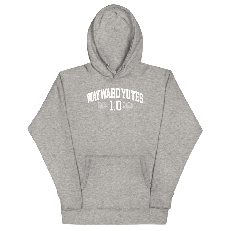 Hood Theory Memes (WAYWARD YUTES-WL) Unisex Premium Hoodie