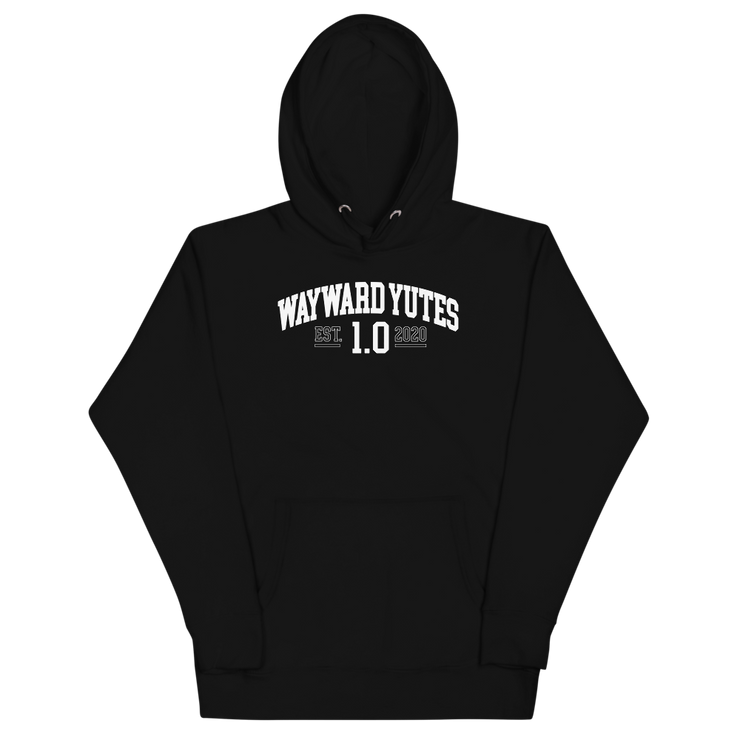 Hood Theory Memes (WAYWARD YUTES-WL) Unisex Premium Hoodie